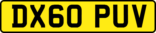 DX60PUV