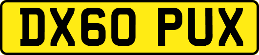 DX60PUX