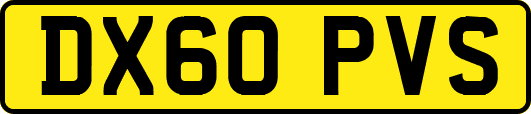 DX60PVS