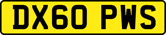 DX60PWS