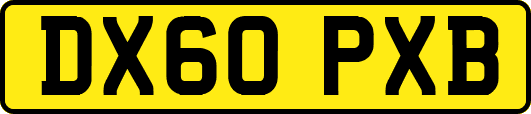 DX60PXB