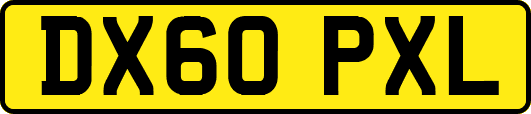 DX60PXL