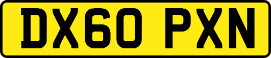 DX60PXN