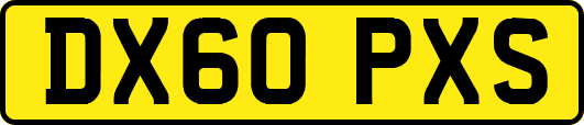DX60PXS
