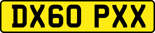 DX60PXX