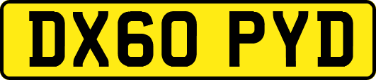 DX60PYD