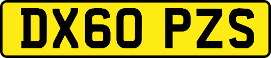 DX60PZS