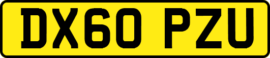 DX60PZU