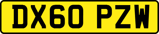 DX60PZW