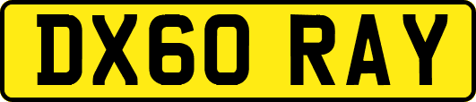 DX60RAY