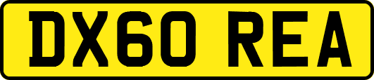 DX60REA