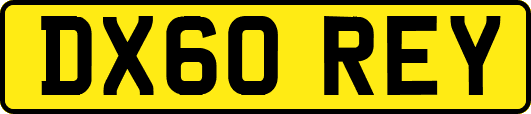 DX60REY