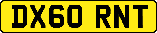 DX60RNT