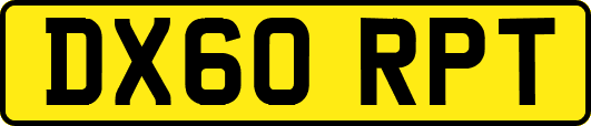 DX60RPT