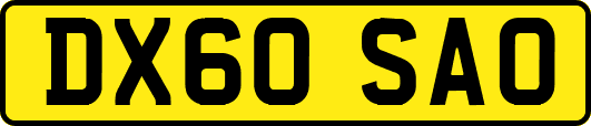 DX60SAO