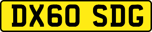 DX60SDG