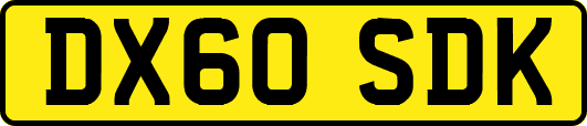 DX60SDK