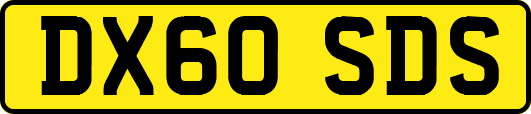 DX60SDS