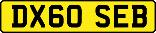 DX60SEB