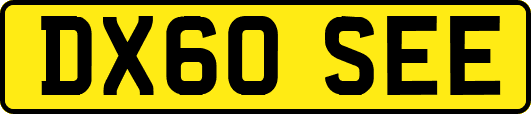 DX60SEE