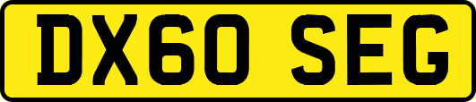 DX60SEG