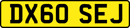 DX60SEJ