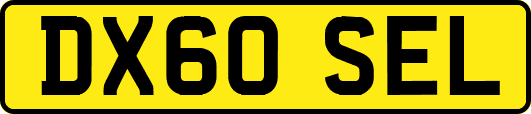 DX60SEL