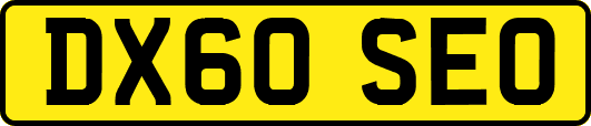 DX60SEO
