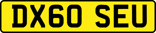 DX60SEU