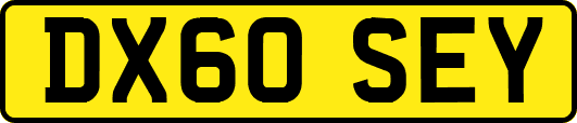 DX60SEY