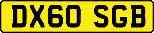 DX60SGB