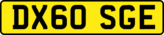 DX60SGE