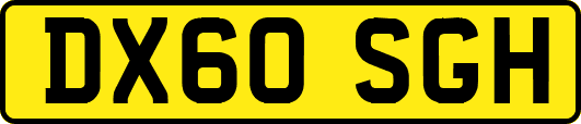 DX60SGH