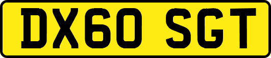 DX60SGT
