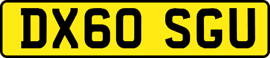 DX60SGU