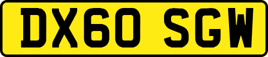 DX60SGW