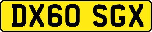 DX60SGX