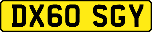 DX60SGY