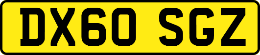 DX60SGZ