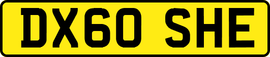 DX60SHE