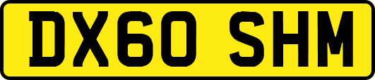 DX60SHM