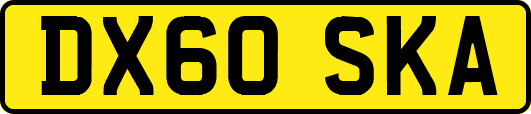 DX60SKA