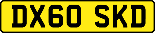 DX60SKD