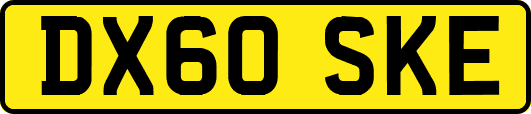 DX60SKE