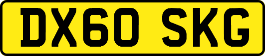 DX60SKG