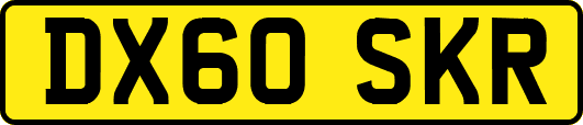 DX60SKR