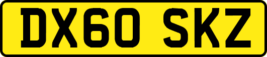 DX60SKZ