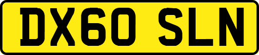 DX60SLN