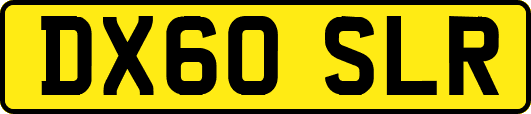 DX60SLR