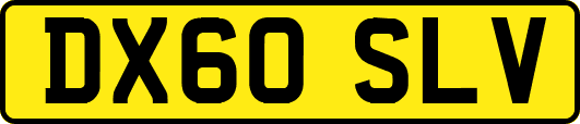 DX60SLV